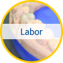 Labor