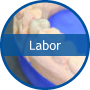 Labor